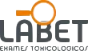 Logo 17