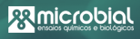 Logo 13